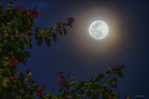 花好月圆图片微信头像，花好月圆图片高清