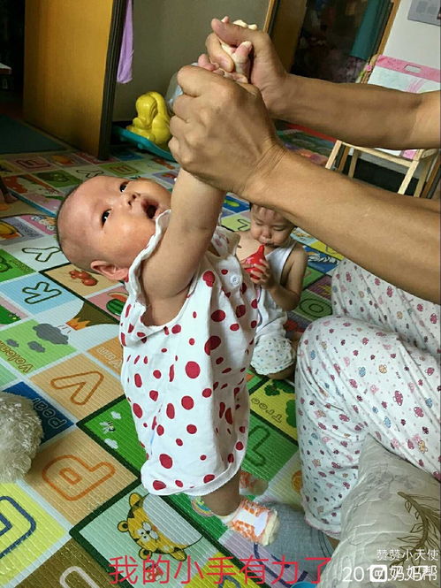 端端演员，端端正正