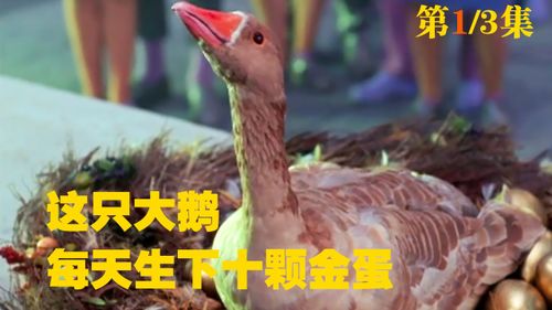 你听过鹅生金蛋的故事吗?