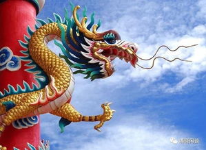 生龙活虎是什么意思，生龙活虎是什么生肖马