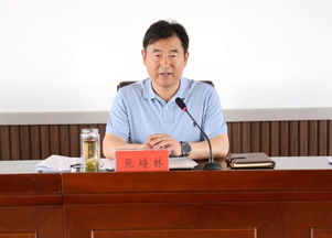 野火春风斗古城演员表