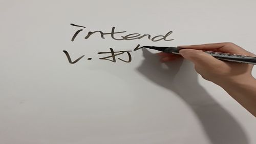 intend是什么意思