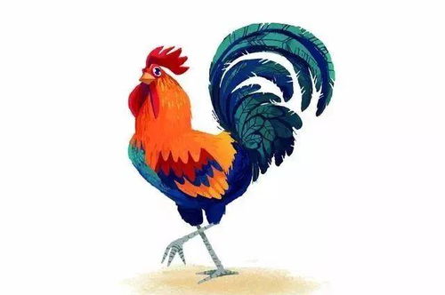 50年属鸡的是哪一年的，属鸡的是哪一年的属兔的几岁
