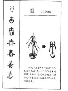 舂拼音怎么写，舂拼音是什么意思