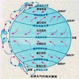信风带降水多还是少，信风带对气候的影响