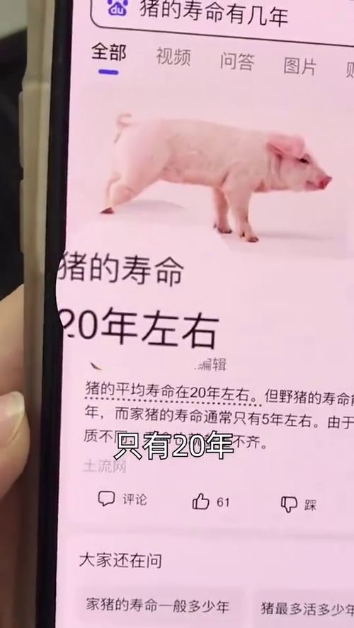 泣不成声的意思和造句，潸然泪下的意思