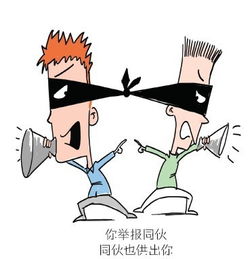 同伙的同义词