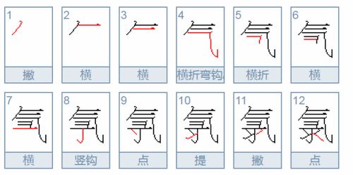 jungle怎么读音英语怎么说，jungle咋读