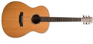 playstheguitar怎么读，guitar怎么读音发音英语单词