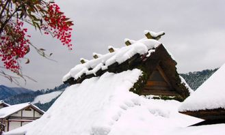 雪是怎么形成的