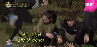 黑不溜秋是哪里的方言，黑不溜秋打一正确生肖