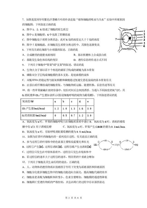 高三生物大题如何做 规范生物试卷答法
