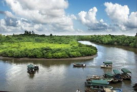 海口有纳西景点?东寨港红树林保护区在哪里
