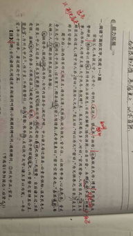 陈万年教子文言文翻译及原文，陈万年教子文言文翻译道理