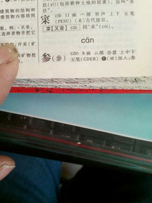 参多音字注音组词，参多音字组词3个读音