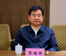 张丕林空难事件，张丕林怎么把汽油带上飞机的