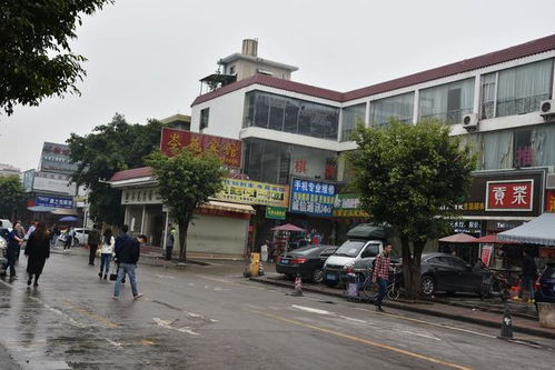 广州岑村机场，广州岑村地铁站是几号线