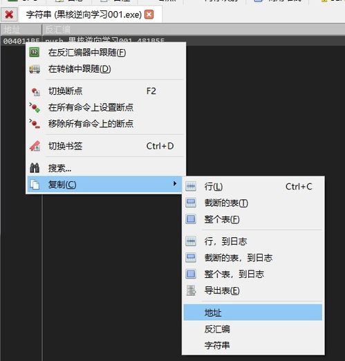 instruction是什么意思