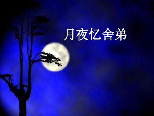 边秋一雁声的上一句是什么歌，是边秋一雁声还是秋边一雁声