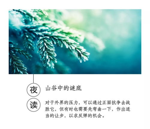 山谷中的谜底 走向(根据上下文理解词语)