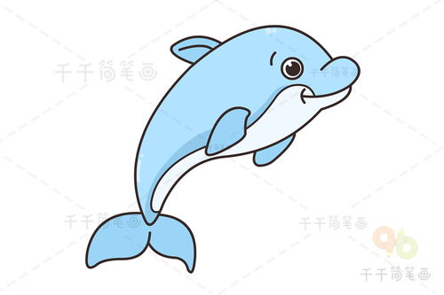 海豚图片简笔画涂色，海豚图片简笔画造型