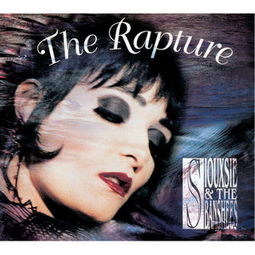 rapture3d 2.5.1 game有用吗，raptures