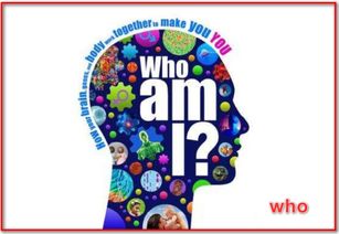 whom的用法 whom的用法是什么