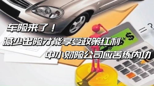 出险记录怎么免费查询，出险人是指谁