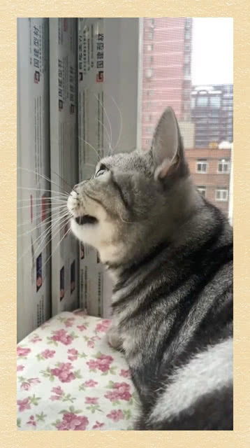 打扰的拼音