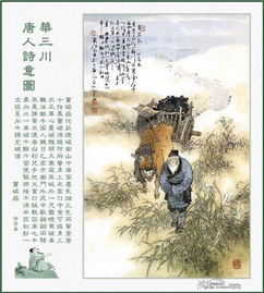 卖炭翁译文和原文，卖炭翁译文拼音