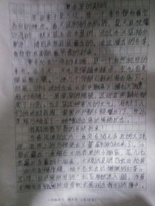 盼望作文500字六年级，盼望作文500字让真情流露