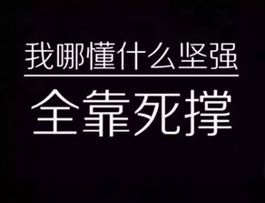 我要的坚强是什么歌，我要的坚强不是