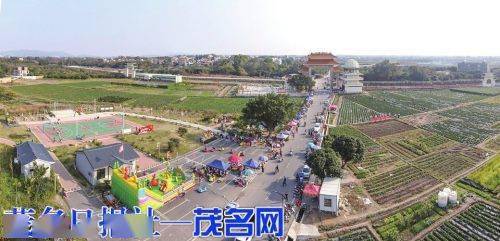林头镇极兔速递在什么地方
