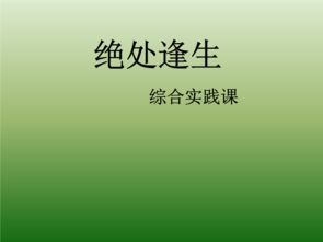 逢的意思 逢的意思是什么