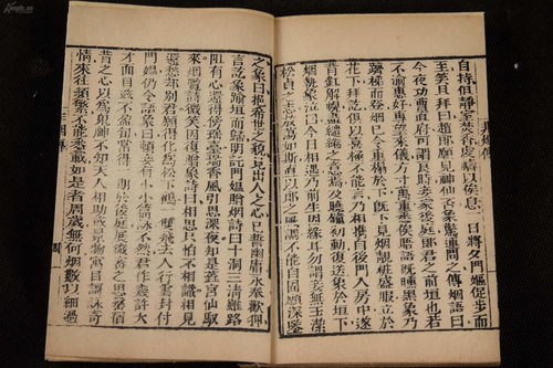 释组词和部首，释组词是什么