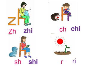看书的拼音怎么写