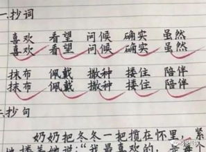 如何用徐徐造句子