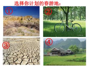 仔细观察土壤可以发现土壤中有什么物质?