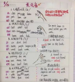 蜗牛谚语英语怎么说，谚语英语版100句