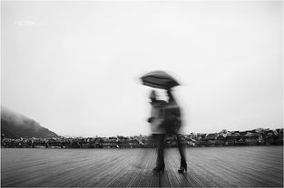 寥哉，寥落古行宫宫花寂寞红白头宫女在闲坐说玄宗