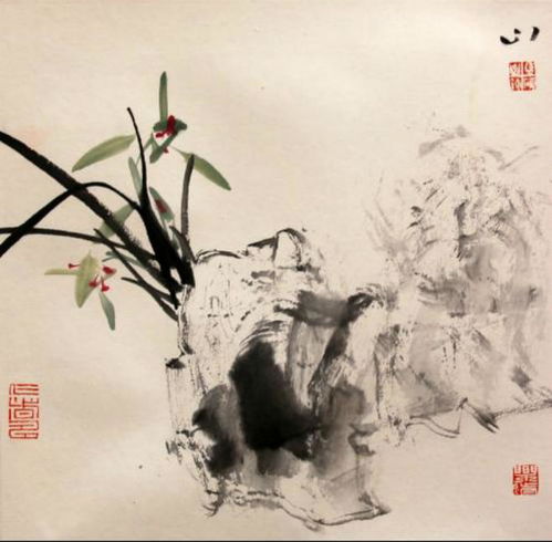 感遇张九龄古诗，感遇张九龄其一翻译
