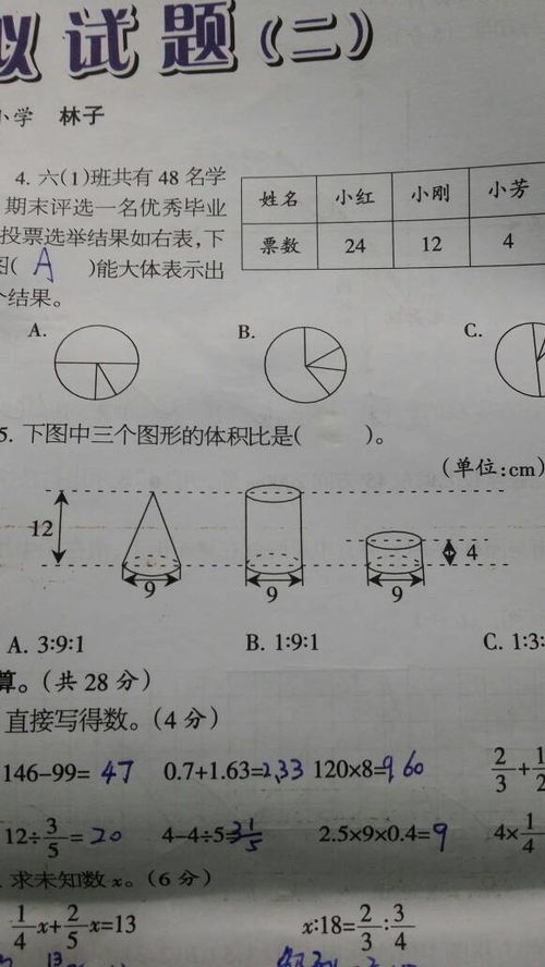 比体积和密度的关系，表面积比体积