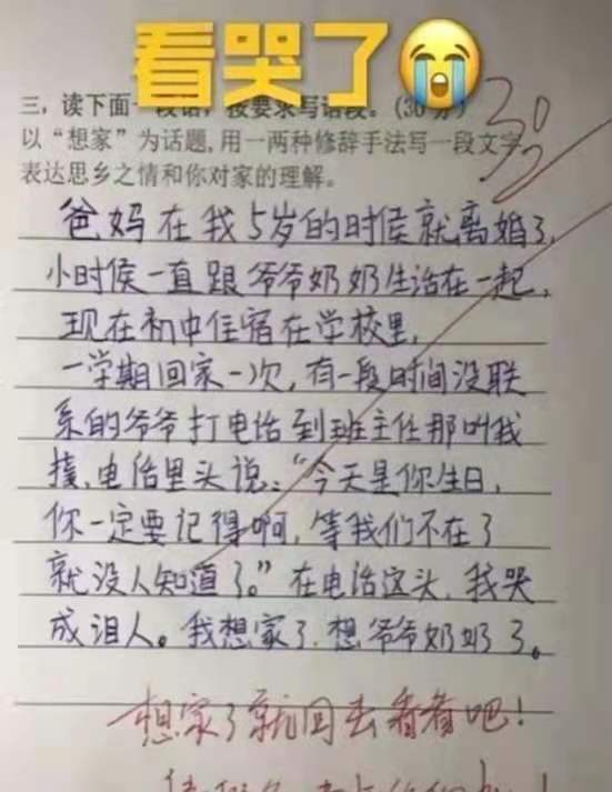 我的班级我的家作文500字