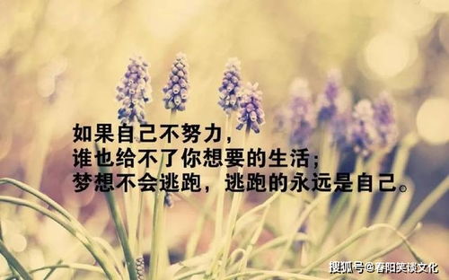 早晨充满正能量的句子图片，早晨充满正能量的句子2023岁