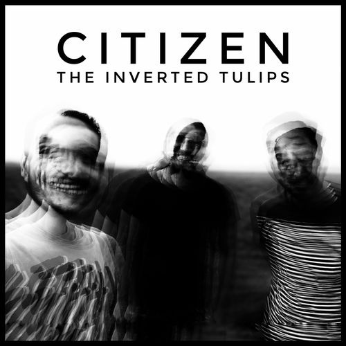 inverted world，inverted grayscale