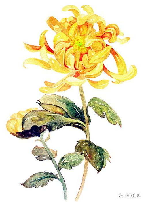 遥怜故园菊后面是什么