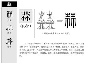 转的笔顺笔画顺序怎么写的，蒜的笔顺怎么写笔画
