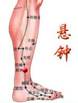 悬钟为什么叫绝骨，悬钟属于哪条经络