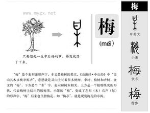 梅的繁体字怎么写