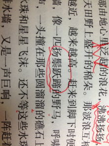 鬃的拼音是什么意思，鬓的拼音组词